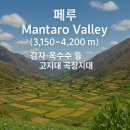 고원농장 이미지