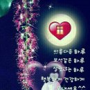 하루하루 이미지