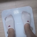 다이어트 쉐이크 추천 9시 35분 라잇나우 프로틴 쉐이크 2주 눈바디 변화 &amp; 운동 필수템 후기