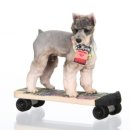 주식회사 마이웨딩 이미지