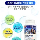 함께 섭취하면 더욱 좋은 청상어 연골 칼슘 2800 + 마누카 프로폴리스 골드 세트 이미지