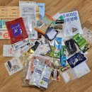 원펫그루밍 | 세텍 크리스마스 서울펫쇼 오픈런 방문후기(샘플 이벤트 부스 정보, 선착순 선물 수령, 소소한 팁들)