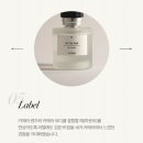 [시스올로지] 향이 완성되기 전의 순간, Behind Scent 체험 | Hold The Light 후기