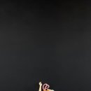 인동16길-4 이미지