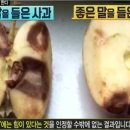 퓨처필드