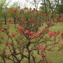 가좌공원 이미지