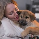 국제농장 이미지