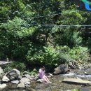 어름골맛집 이미지