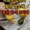 혈관에 좋은 음식 심장 혈관에 안좋은 음식 혈관청소음식 이미지