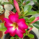 왕골공예가는길 이미지