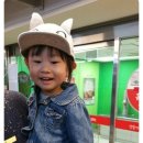 고양이 모자 이미지