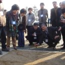 고삼초등학교 이미지