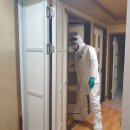 동해중앙초등학교 이미지