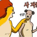 굿윌디자인