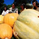 지은축산 이미지