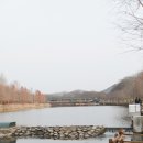 다원렌트카 네이버블로그
