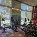치앙마이 콘도 후기｜The Base Height Chiangmai 신축 콘도 한달살기 숙소 리얼 후기
