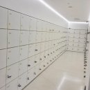 스카이2 이미지