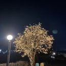 해오름셀프주유소 이미지