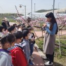 수원-1382 이미지