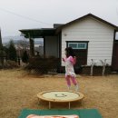 하우스유 Daum카페