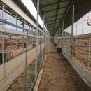 정식농장 이미지