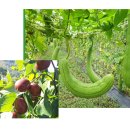 구성사슴농장 이미지