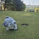 석천CC (대중제) | [경기 용인] 용인CC