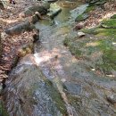 자연모두 이미지