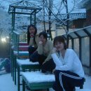 송림유치원 이미지