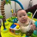 (주)아마존 | 아마존쏘서 6개월 아기 대여 후기 (사용시기,발높이 팁)