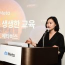 메타비젼
