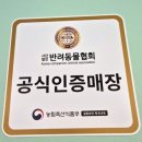 퍼피캣 강아지분양 고양이분양 대구경산점 이미지