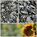 옥정농장 이미지