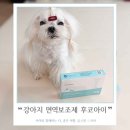 제이동물병원 | 동물병원전용 강아지 면역영양제 프리미엄후코이단 후코아이