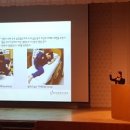 분당-387 이미지