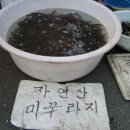 고창미꾸라지