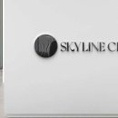 스카이라인의원 이미지