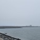 배곧한울공원 이미지