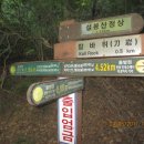 호암2약수터 이미지