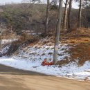 정곡리 Daum카페