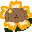 젠치로네 네이버블로그