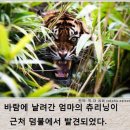 레전드학원 - 군포시 광정로 70 | 레전드학원