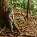 무릉계곡힐링캠프장 이미지