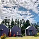 춤추는달 이미지