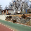 내손체육공원 잔디구장 이미지