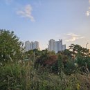 이서혁신123공인중개사사무소 이미지