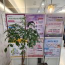 위대한탄생여성의원 이미지