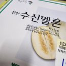 한신천 | [과일추천] 꿀 화이트멜론! 천안 수신멜론. 인생멜론. 내돈내산 후기