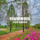 안성맞춤랜드20 | [안성 가볼만한곳] 자연이 만나는 복합 문화 예술 공간 "안성맞춤랜드" 방문 후기